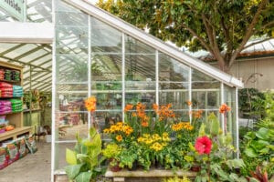 garden-center-greenhouse-3