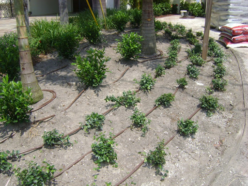 irrigation planning landscape design