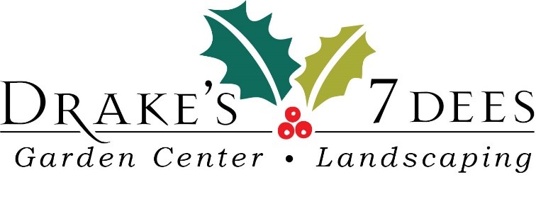 Christmas Logo Drake's 7 Dees Holiday Logo