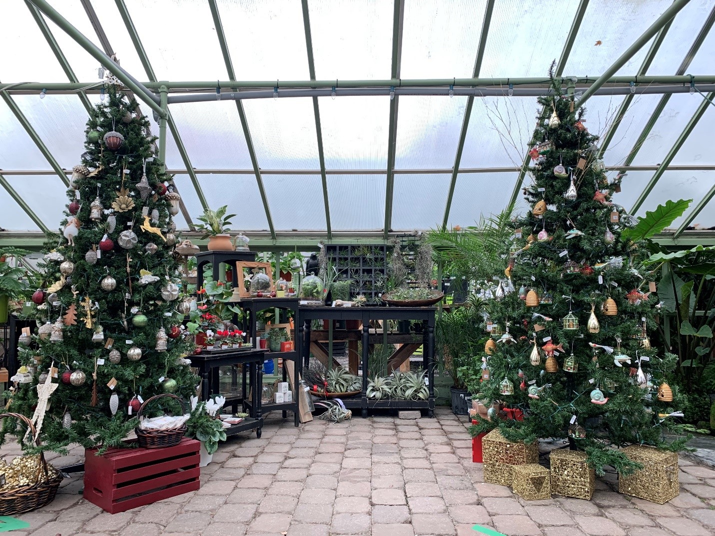 Holiday image Drake's 7 Dees Garden Center decorated for the holidays